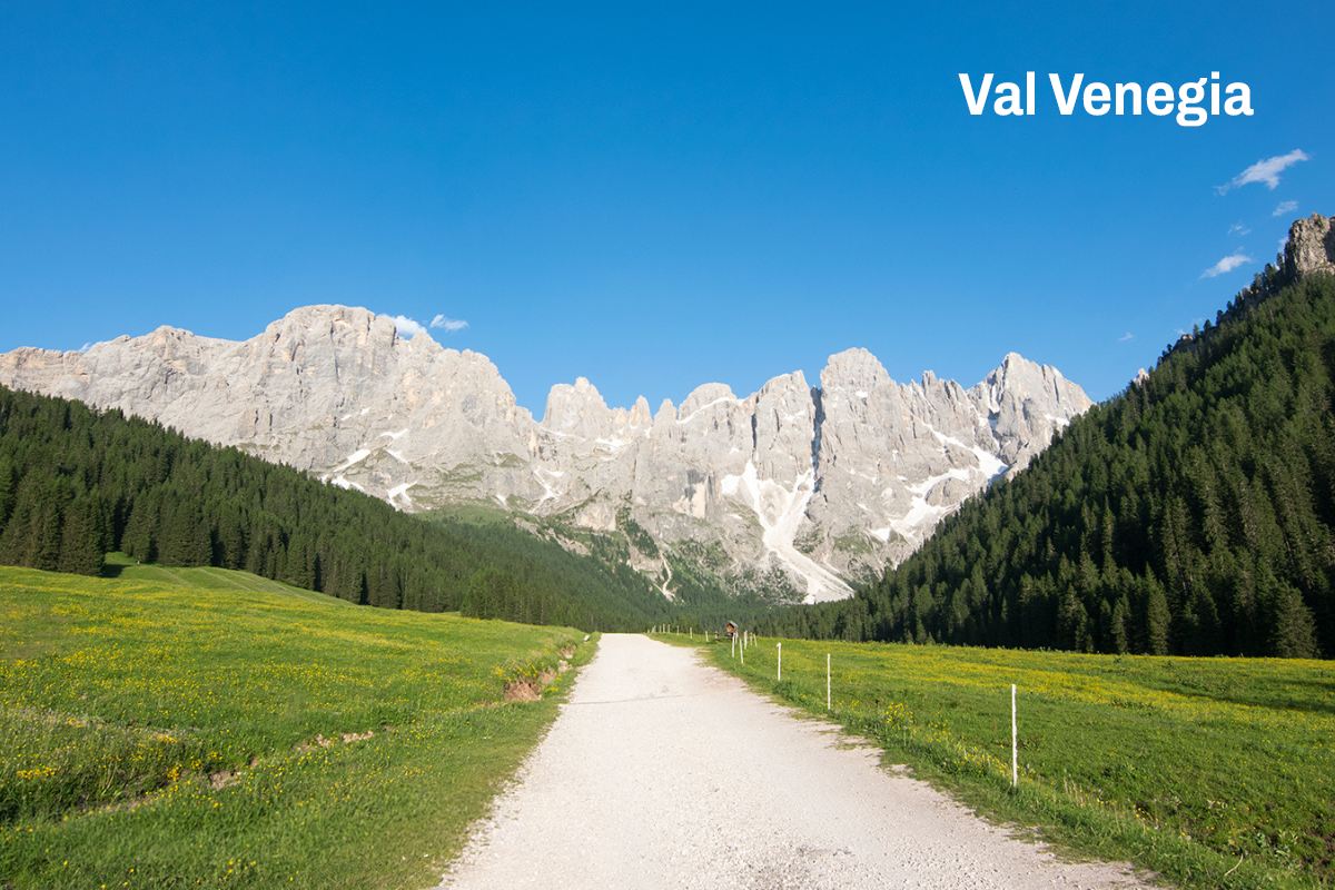 Val Venegia DEF